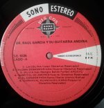 Raul Garcia y Su Guitarra Andina-C.jpg
