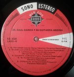 Raul Garcia y Su Guitarra Andina-D.jpg