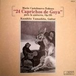 Kazuhito Yamashita - 24 caprichos de Goya.jpg