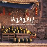 Daisuke Suzuki - Daisuke plays Agustín Barrios Mangoré 2 iAy,Ay,Ay!.jpg