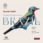 Ricardo Gallen - Preludes and Dances from Brazil.jpg