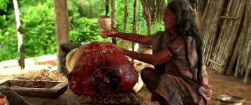 03 - PDV - P02 The Green Inferno 2013 BluRay 1080p DTS-HD MA5.1x264- DiaNgucRungXanh.mkv_snaps...jpg