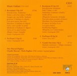 25 Classic Guitar05.jpg