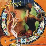 Armik Guitar-16A.jpg