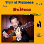 Vivir El Flamenco.jpg
