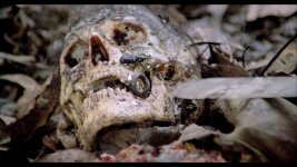 02 - PDV - Cannibal Holocaust 1980 Remux 1080p USA Blu-ray AVC DTS-HD MA 2.0- BoTocAnThitNguoi...jpg