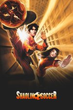 Shaolin Soccer (2001).jpg