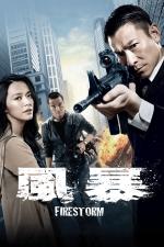 Firestorm.2013.Blu-ray.Remux.1080p.AVC.TrueHD7.1-iceman-poster.png
