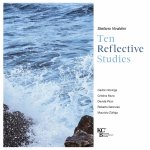 Stefano Vivaldini - Ten Reflective Studies.jpg