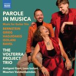 The Volterra Project Trio - Parole in Musica.jpg