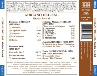 Adriano Del Sal - Laureate Series-B.jpg