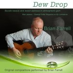 Brian Farrell - Dew Drop.jpg