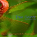 Brian Farrell - True Colors.jpg