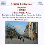 Pavel Steidl - Napoleon Coste Works 3.jpg