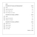 Ludwig van Beethoven - Complete Violin Sonatas (Lena Neudauer Paul Rivinius)-C.jpg