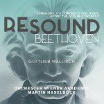 Beethoven Resound Vol. 6 Symphony No. 8 - Piano Concerto in D (Martin Haselböck, Wiener Akadem...jpg