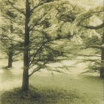 Maria João Pires - Verdes Anos-cd2 pocket front.jpg