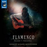 Ignacio Lusardi Monteverde - Flamenco-Pasado y Presente.jpg