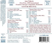 Ana Vidovic - Guitar Recital-B.jpg