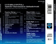 Guitarra Espanola - Spanish Guitar-B.jpg
