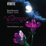 Timo Korhonen - The Tarrega-A.jpg