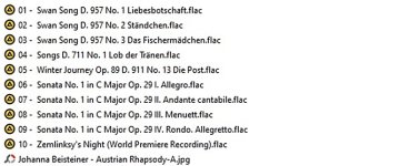 Johanna Beisteiner - Austrian Rhapsody-B.jpg