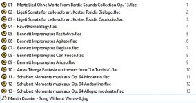 Marcin Kuzniar - Song Without Words-B.jpg