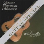 Sigi Schwab - Guitar Special-A.jpg