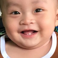 hoabinh456
