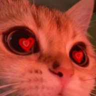 Doliloserrr
