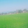 phudang